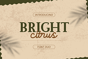 Bright Citrus - Luxury Font Duo, a Serif Font by Attype (Thumbnail 1 of 10)