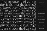 Ethiven Qastron | 10 Font Style, a Serif Font by IM Studio (Thumbnail 12 of 12)