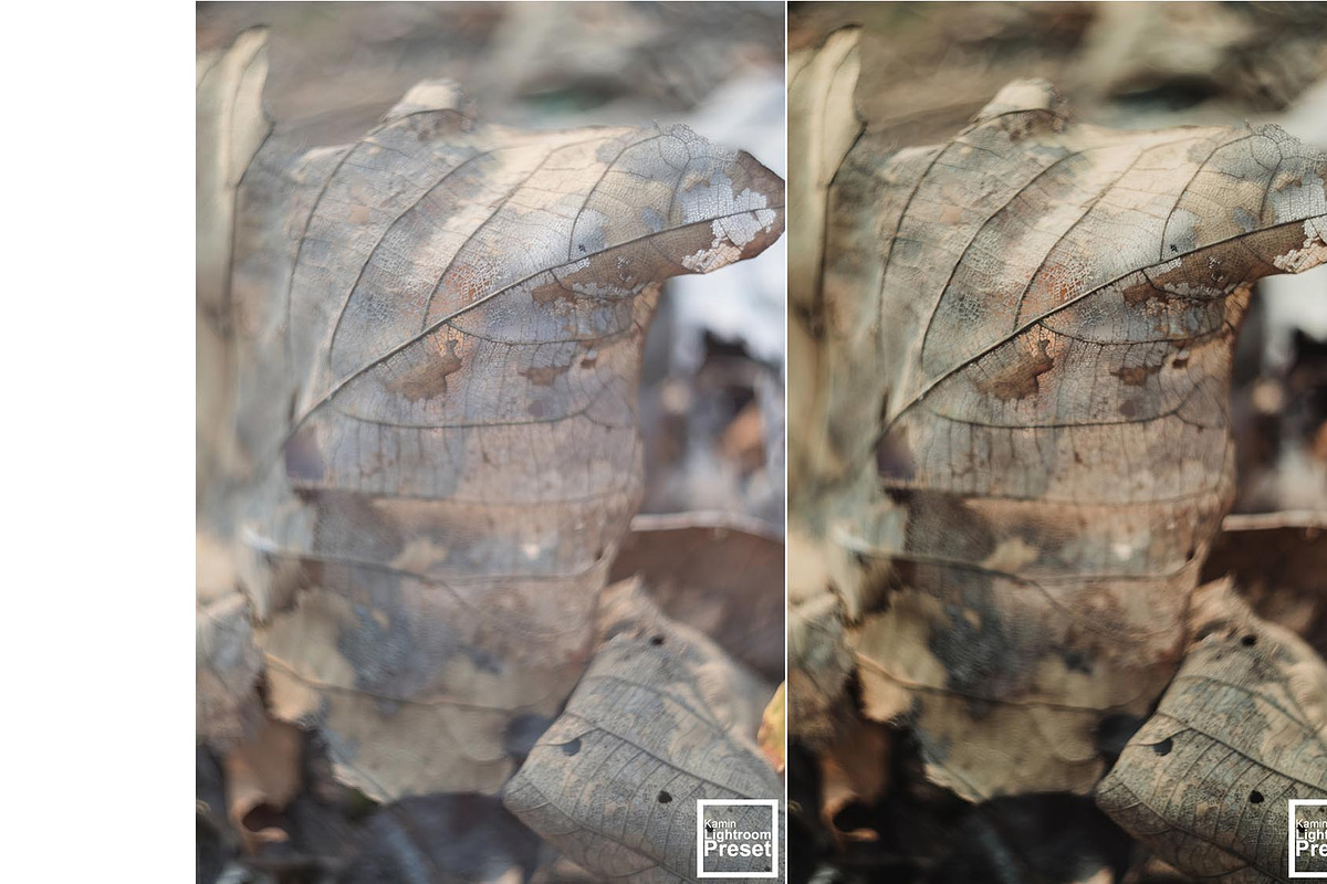 Kamin Fall Season, an Action Add-On by Kamin Lightroom Preset (Photo 12 of 17)