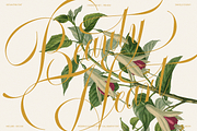 GEFUHATPIN — Elegant Calligraphy, a Script Font by Enxyclo Studio (Thumbnail 4 of 23)
