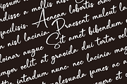 Hiragenda – Signature font, a Script Font by Basnistudio (Thumbnail 2 of 15)