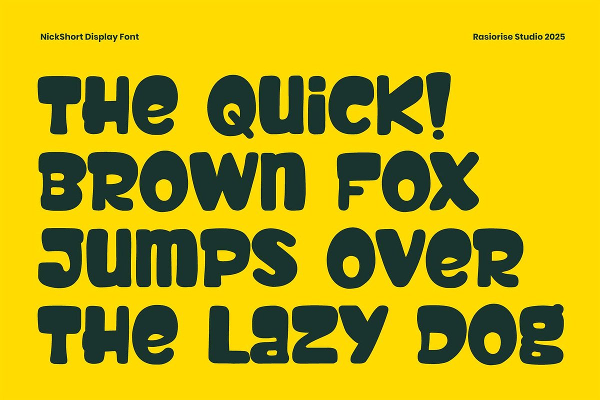 Nick Short a Display Font, a Handwritten Font by Rasiorise Studio (Photo 2 of 12)