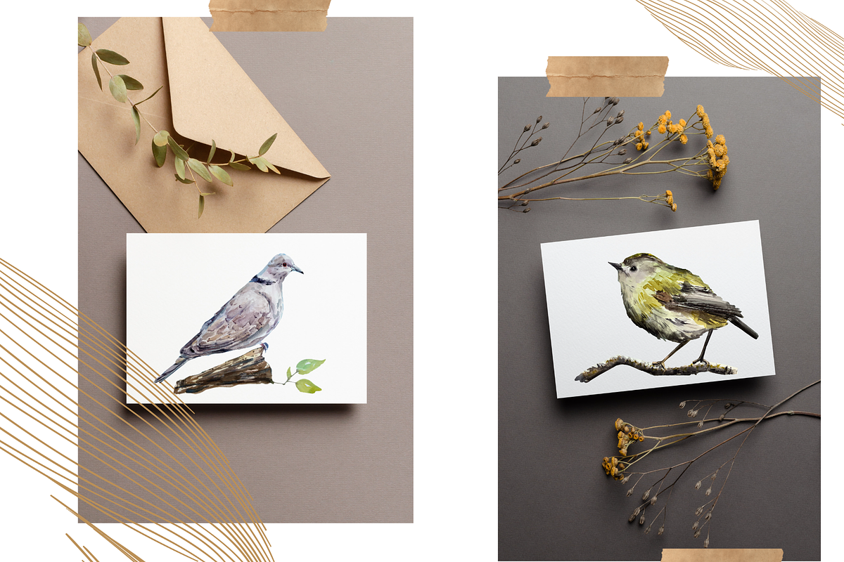 Watercolor Birds Clip Arts and Cards, an Education Illustration by Tati Bordiu (Photo 4 of 5)