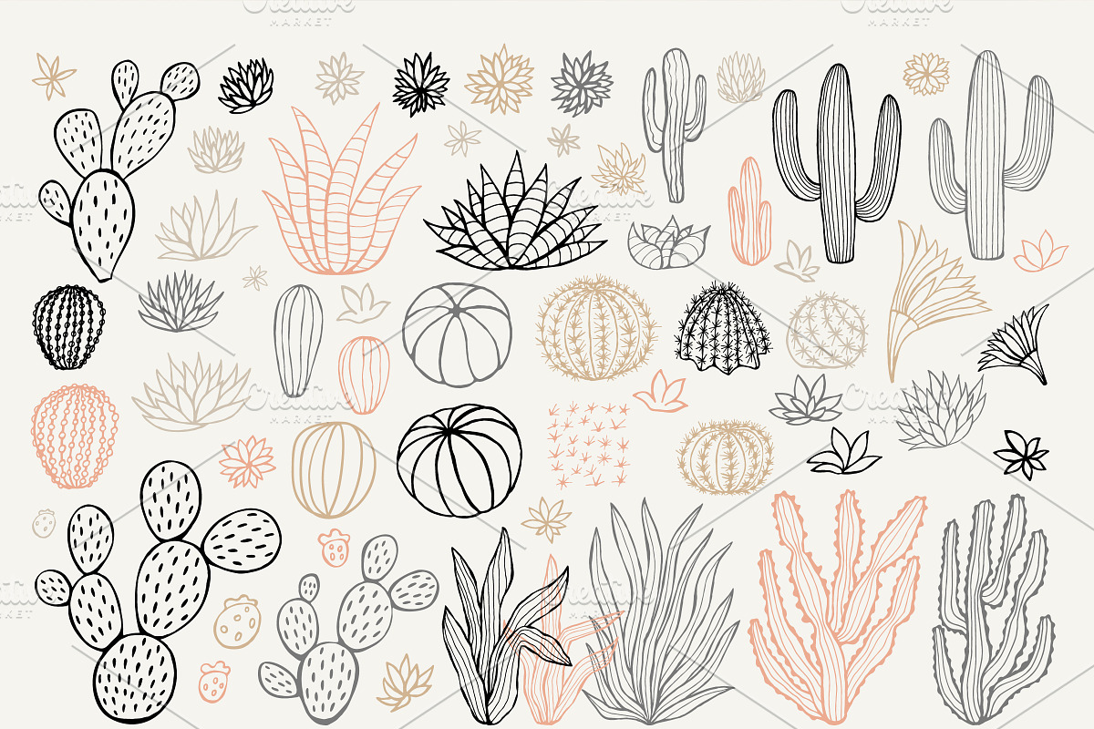 PASTEL Cactuses & Succulents BIG Set, a Decorative Illustration by Iraida_Bearlala (Photo 3 of 13)
