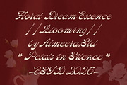 Mollies - Elegant Script Font, a Script Font by Almeera Std (Thumbnail 2 of 10)