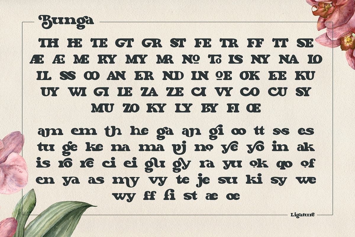 Bunga, a Serif Font by Burntilldead (Photo 9 of 14)