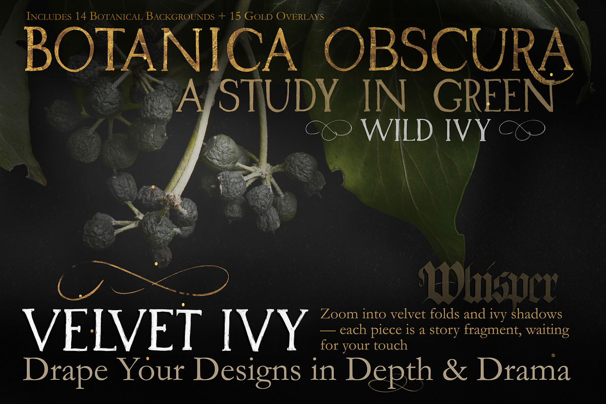 Velvet Ivy – Botanical Backgrounds |, a Background Graphic by Aga Silva (Photo 6 of 9)