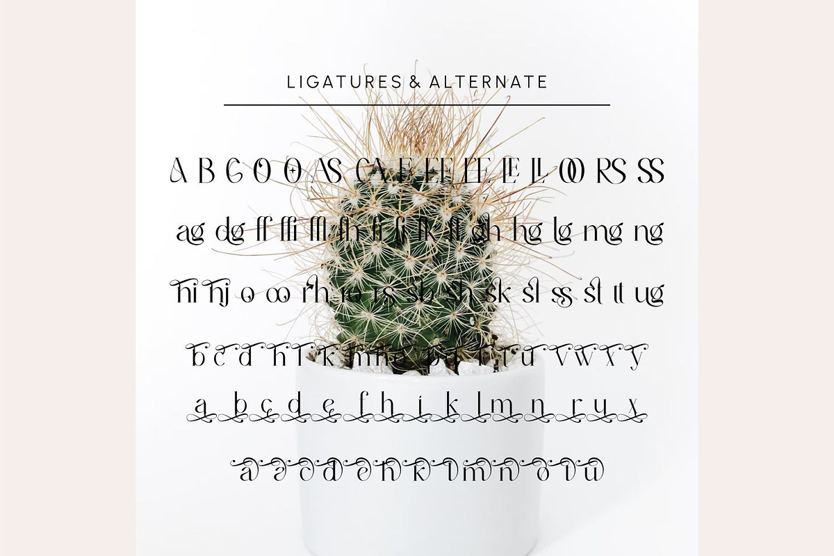 Thirossa _ beauty typeface, a Serif Font by Penatic Studio (Photo 10 of 10)