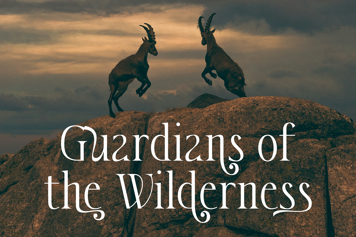 Fedgloya - Elegant Font, a Serif Font by Randi Irvan | Rvandtype (Photo 8 of 13)