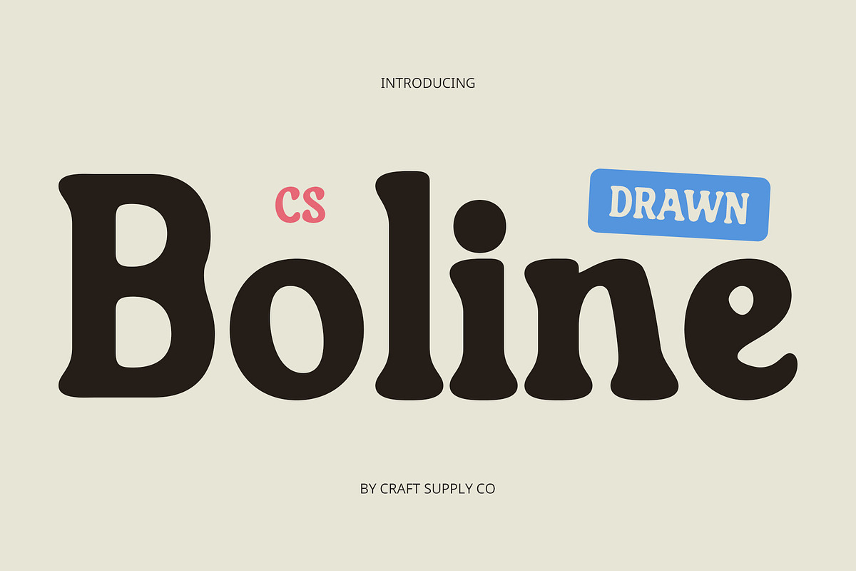 CS Boline Drawn, a Serif Font by Craft Supply Co. (Photo 1 of 8)
