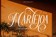 Pangoliery - Serif Typeface Font, a Serif Font by Flawless And Co (Thumbnail 6 of 10)