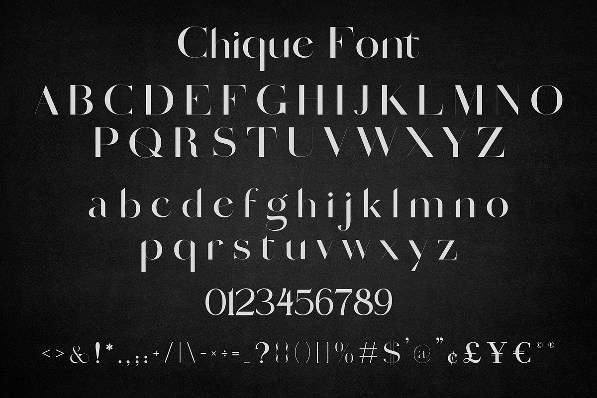 Chique - Luxury Modern Serif, a Serif Font by OWPictures (Photo 7 of 7)