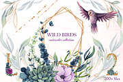 Wild Birds, an Illustration by Salted Galaxy (Thumbnail 1 of 17)