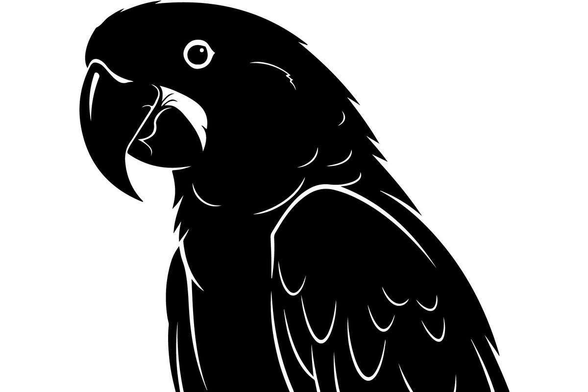 Bird Silhouettes Flying Sideways, an Animal Illustration by Designer_Momina (Photo 7 of 21)