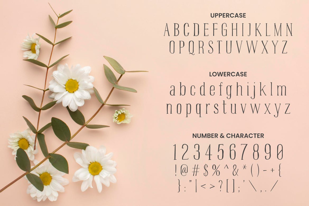 Prairie Life – Cute font, a Serif Font by TokoPress (Photo 8 of 10)