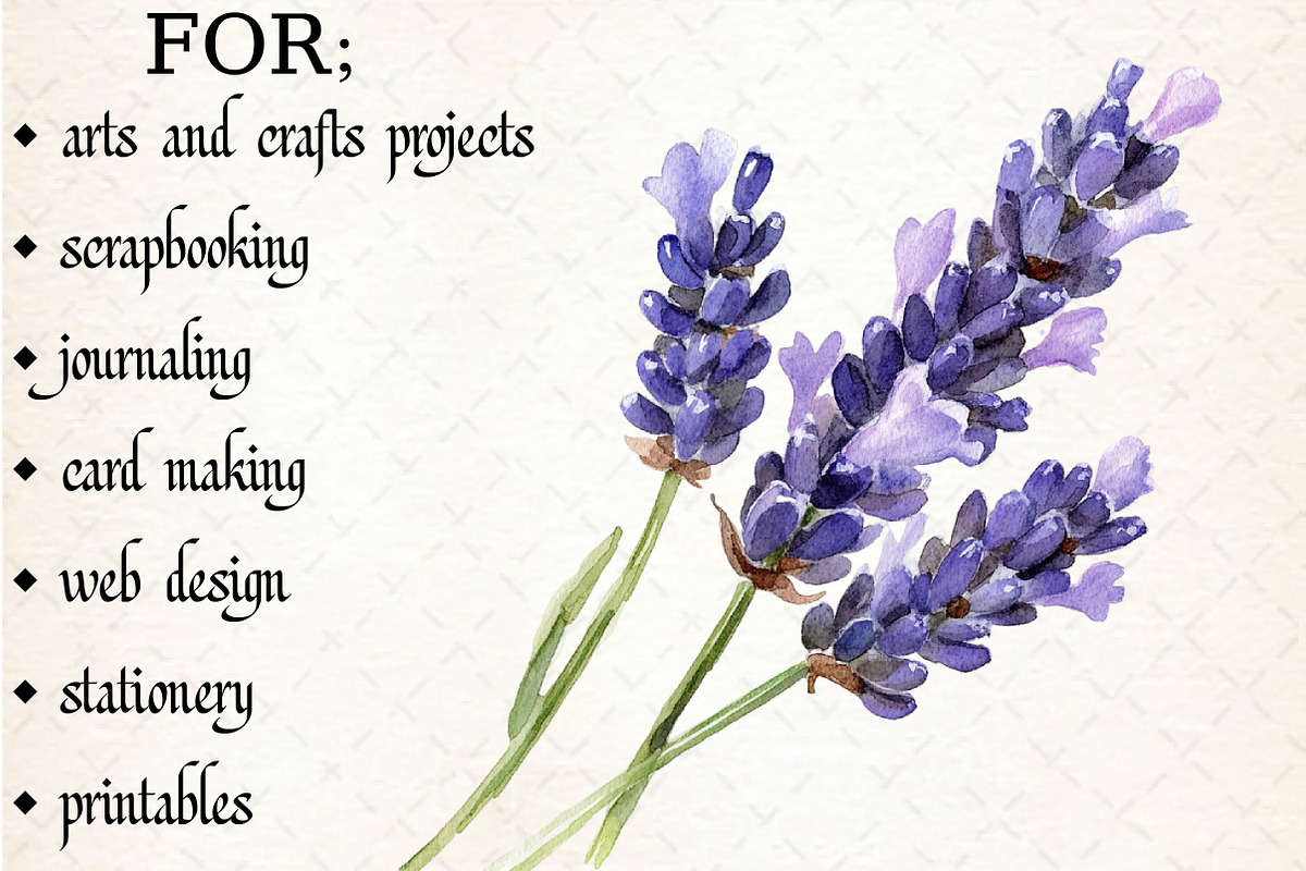 Spring Seasonal Elements Clipart, an Illustration by Libby Wishes (Photo 5 of 5)