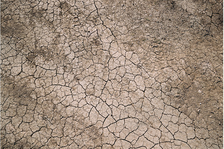 Background Dry Cracked Soil Dirt Or, an Abstract Photo by Our Amazing World
