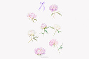 watercolor coquette pink peony set, a Decorative Illustration by Patishop Art (Thumbnail 8 of 10)