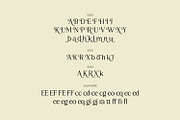 Rothen – Aesthetic Serif Font, a Serif Font by Dikas Studio (Thumbnail 6 of 10)