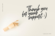 Carolissa, Handwritten Brush Script, a Script Font by Motokiwo (Thumbnail 14 of 14)