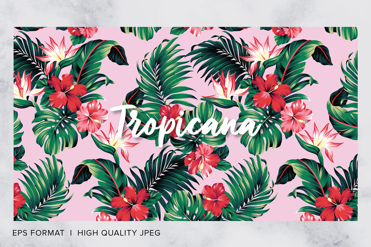 Tropicana, Tropical Print Patterns, a Pattern Graphic by ASTUDIO (Photo 10 of 10)