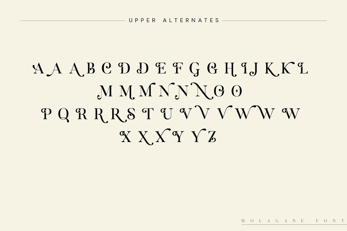 Molagane | Fancy Serif Typeface, a Serif Font by Qaratype (Photo 26 of 26)