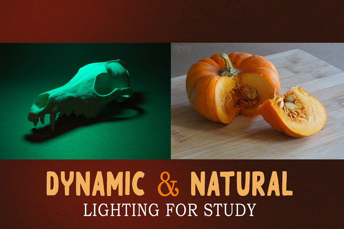 Autumn Themed Still Life Reference, a Holiday Photo by Lane Draws (Photo 3 of 6)