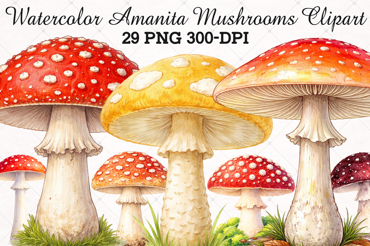 Watercolor Amanita Mushrooms Clipart, an Illustration by RobertsArt (Photo 1 of 5)