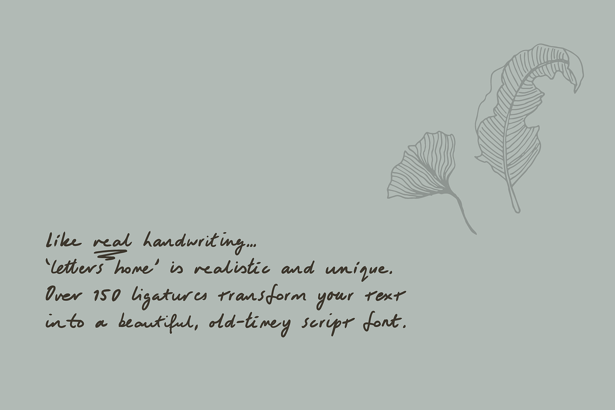 Letters Home Romantic Pen Script, a Script Font by TYPEHEIST (Photo 2 of 9)