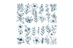 Ink sketch botanical elements, an Illustration by Stock-Smart-Start