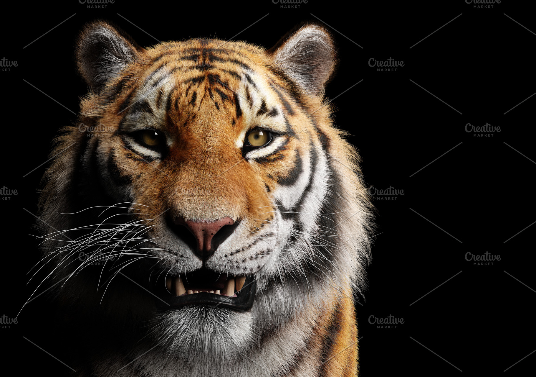 Tiger portrait on black., an Animal Photo by Photocreo Michal Bednarek