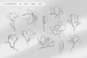 Vector Line Art Flowers Magnolia