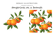 Vector set with realistic tangerine, a Food Illustration by natamastery (Thumbnail 4 of 5)