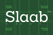 Slaab Font Family 45 Styles, a Slab Serif Font by That That Creative (Thumbnail 1 of 13)