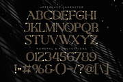 Qiunels - Elegant Luxury Serif, a Serif Font by Almarkhatype (Thumbnail 8 of 10)
