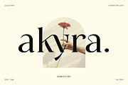 Sonice - Modern Luxury Font, a Serif Font by Vampstudio (Thumbnail 6 of 13)