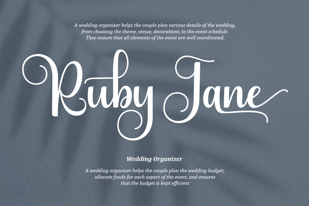 Lilyana Script, a Script Font by Natural Ink Studio (Photo 4 of 8)
