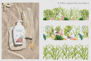 Sea Plants Watercolor Collection