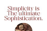 Gladier - A Modern Serif Font, a Serif Font by Comactype Foundry (Thumbnail 14 of 22)