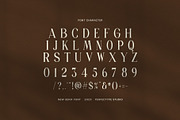 Holand Elegant Serif Font, a Serif Font by Perfectype (Thumbnail 7 of 8)