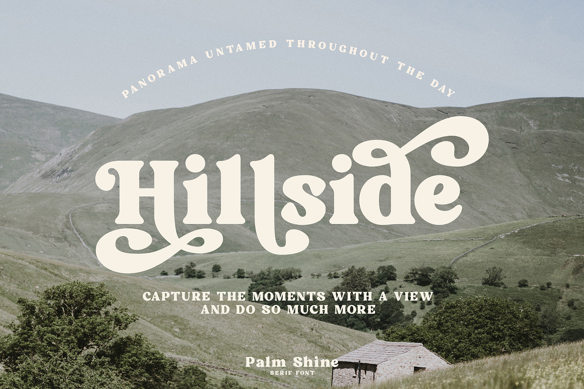 Palm Shine - Bold Swirl Serif, a Serif Font by roomspace creative lab (Photo 3 of 13)