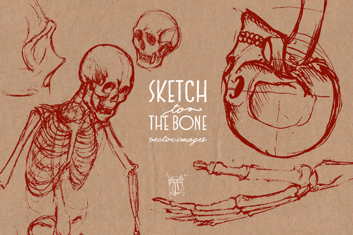 Skulls - Sketch 2 The Bone, an Illustration by Andrea Tardivo (Photo 2 of 4)
