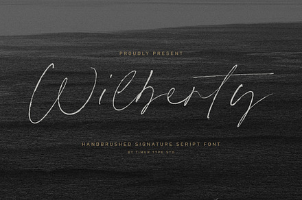 Wilberty - Handbrushed Script Font, a Script Font by Timurtype