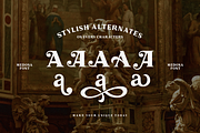 Medona, a Serif Font by 160 Studio (Thumbnail 7 of 9)