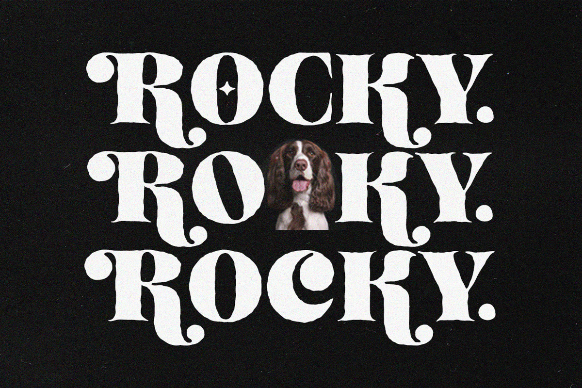 Mellora - Display Serif, a Serif Font by Fargun Studio (Photo 20 of 24)