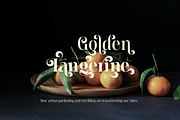 Meagre Display - 90s  Serif Family, a Serif Font by Holyline Design (Thumbnail 7 of 15)