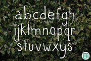 Wild Things, a Sans Serif Font by Little Type House (Thumbnail 4 of 5)