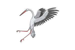 Crane bird in realistic style, an Animal Illustration by Things for designers