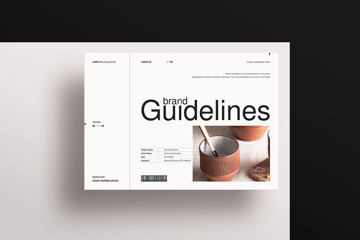 Brand Identity Guidelines Template preview 4