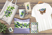 Blueberry. Watercolor collection, a Food Illustration by Daria Ustiugova (Thumbnail 25 of 25)